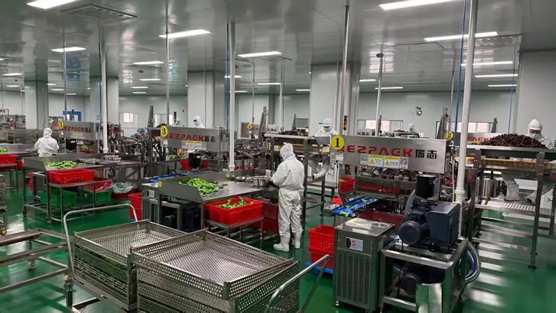 packaging machine inspection in clean workshop
