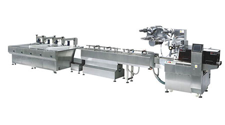Features Of Solids Packaging Line